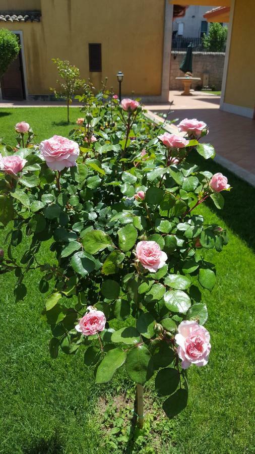 Le Rose Di Modica Villa Eksteriør billede
